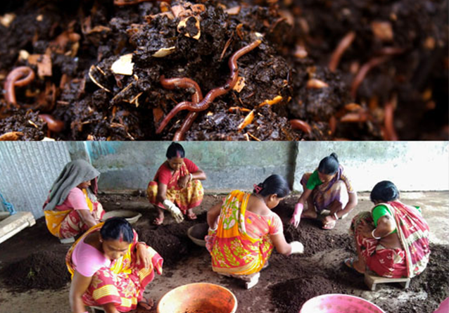 Seed Breed Landscape Nursery