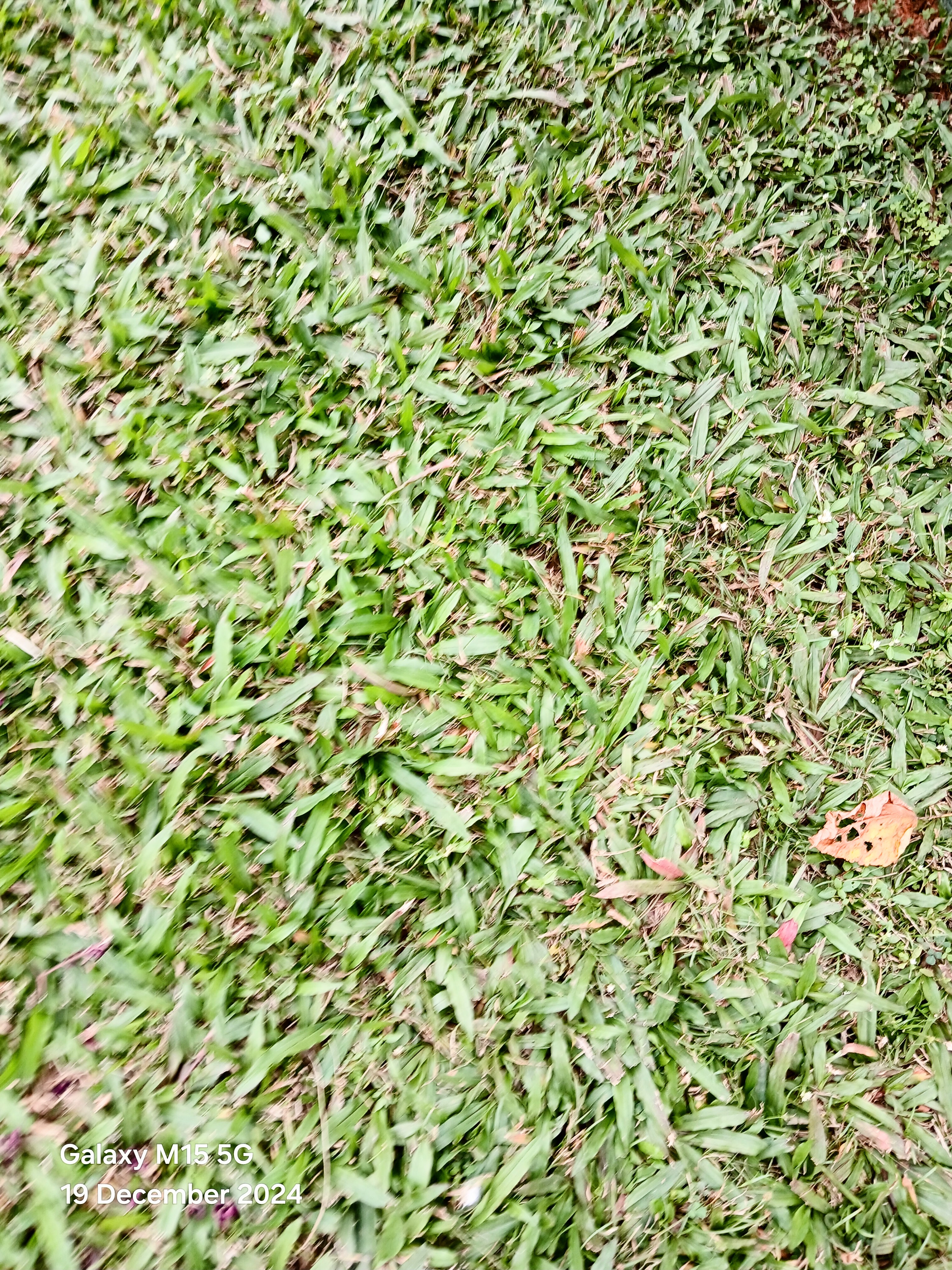 Seed Breed Landscape Nursery