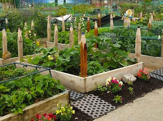 Seed Breed Landscape Nursery