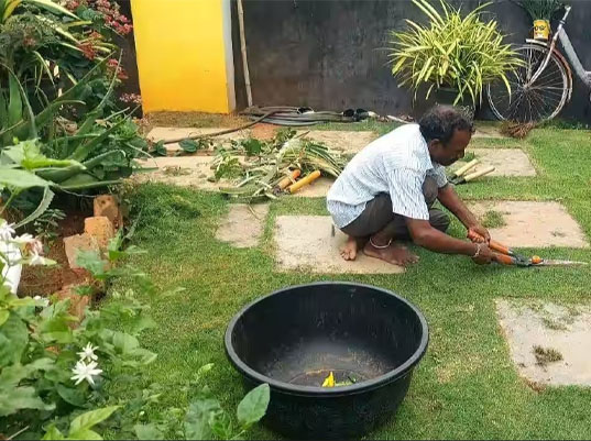 Seed Breed Landscape Nursery