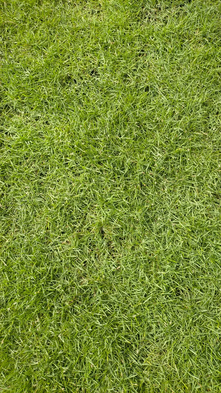 Seed Breed Landscape Nursery