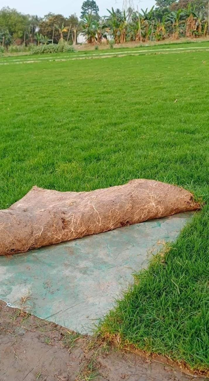 Seed Breed Landscape Nursery