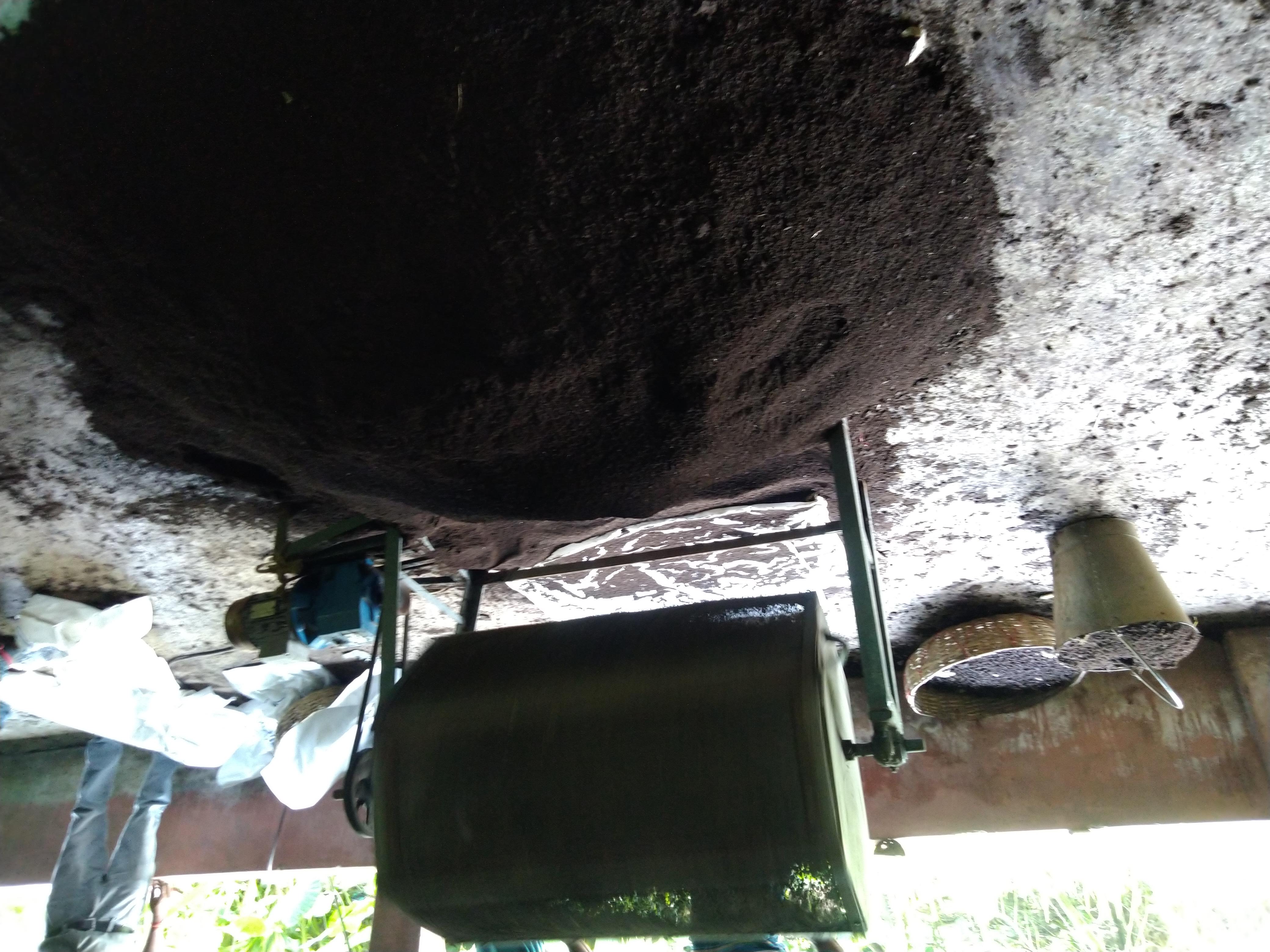 Seed Breed Landscape Nursery